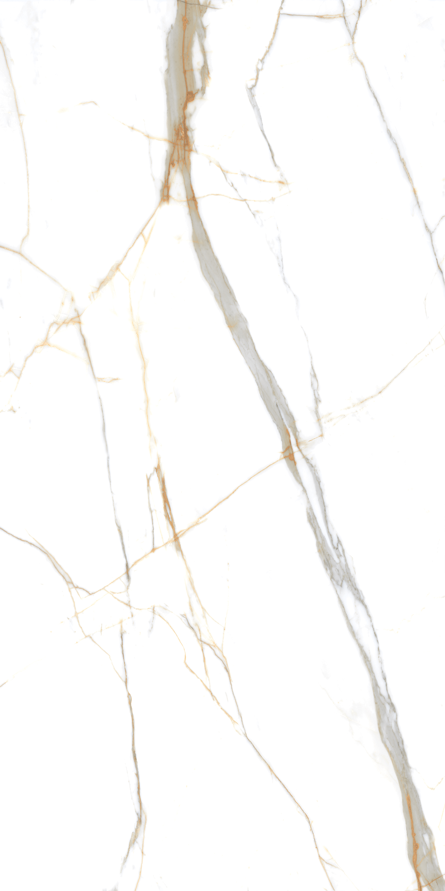 Porcelain Tile 60x120 Indigo Statuario (Glossy)